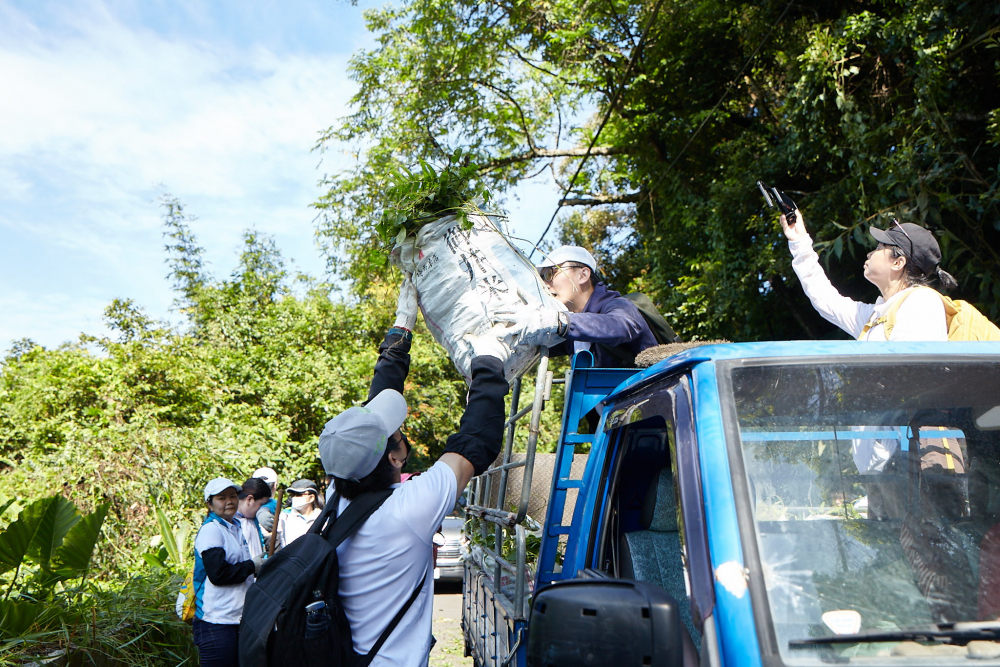 友達串聯志工組成水環境巡守隊，針對霄裡溪沿岸3公里的小花蔓澤蘭，定期進行移除與防治工作